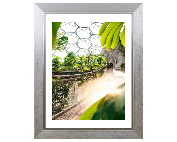 Inside the Eden Project in Cornwall Photo Print - Canvas - Framed Photo Print - Hampshire Prints