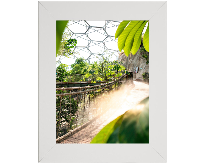 Inside the Eden Project in Cornwall Photo Print - Canvas - Framed Photo Print - Hampshire Prints